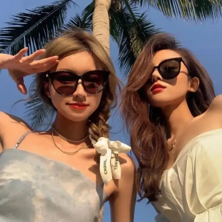 来自收容所的爱